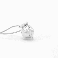 Collar Puerquito